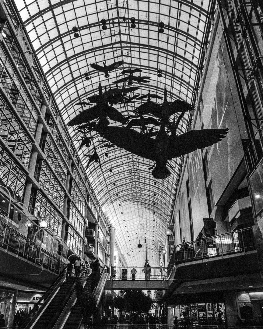 Ziggy Kańczukowski - Eaton Center (2005)