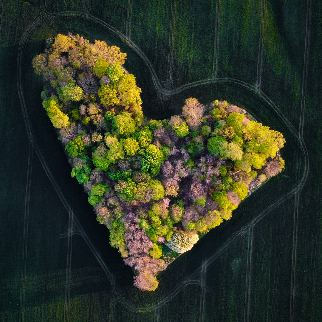 Ziggy Kanczukowski - Heart (2020)