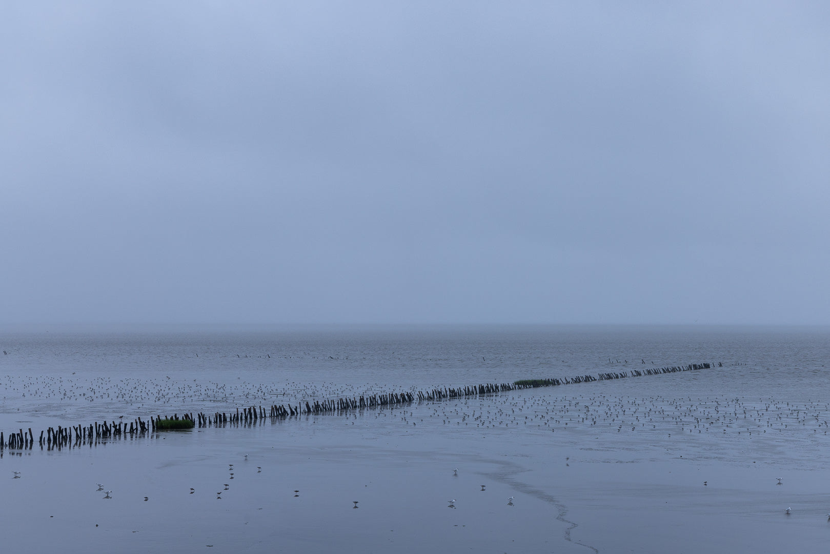 Ziggy Kańczukowski - Wadden Sea (2024)